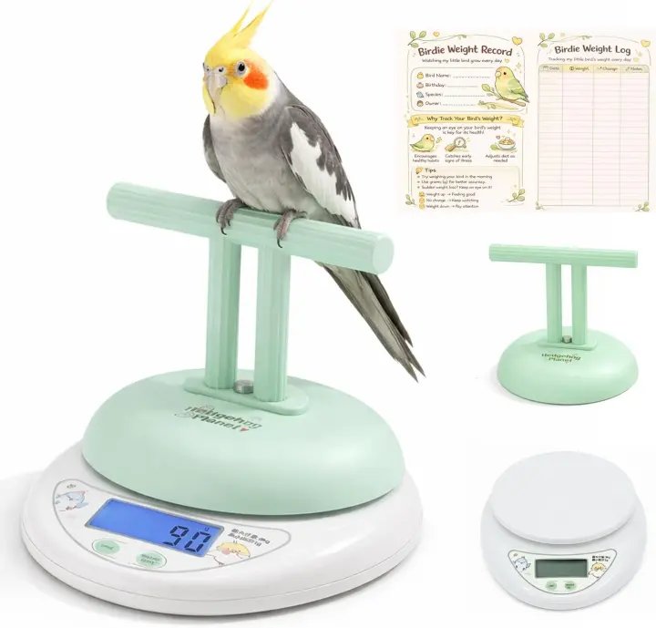 2-in-1 Bird Perch Scale with Backlit Display for Small & Medium Parrots