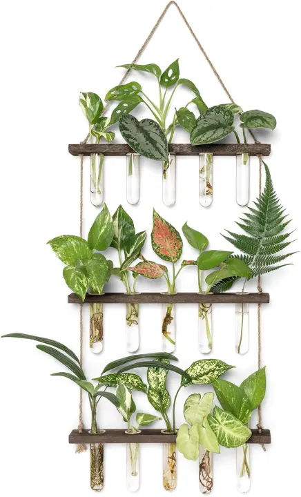 3-Tier Wall Plant Propagation Station with 15 Glass Test Tubes
