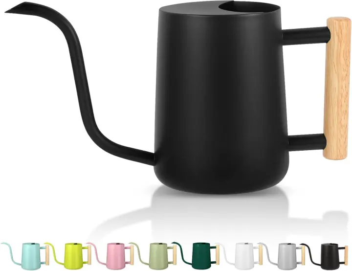 35 oz Stainless Steel Plant Watering Can with Long Gooseneck (Black)