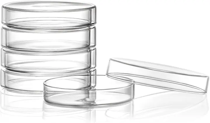 75mm Borosilicate Glass Petri Dishes with Lids — 5-Pack