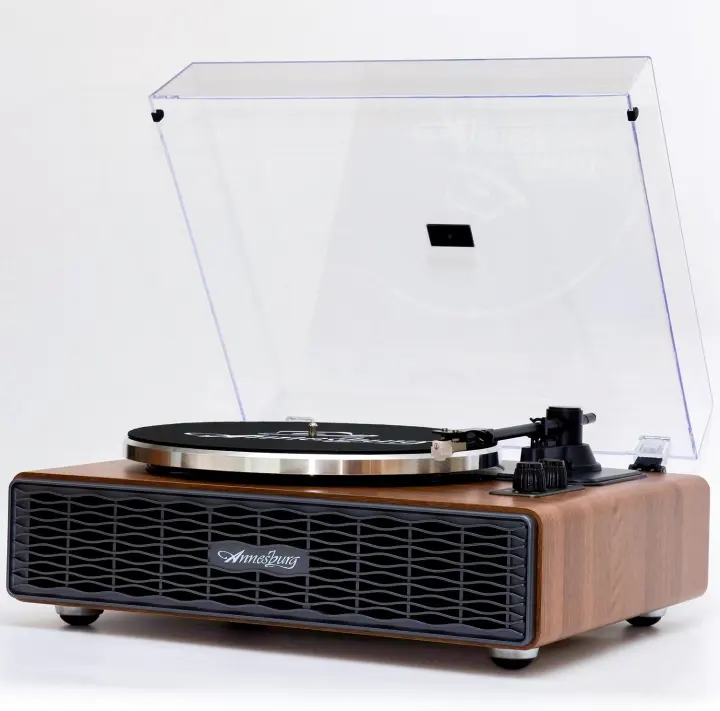 Annesburg Vinyl Turntable with Built-In Speakers & Bluetooth