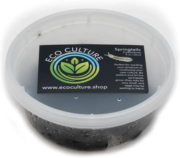 Eco Culture Live Springtails — 8 oz Charcoal Culture for Terrariums