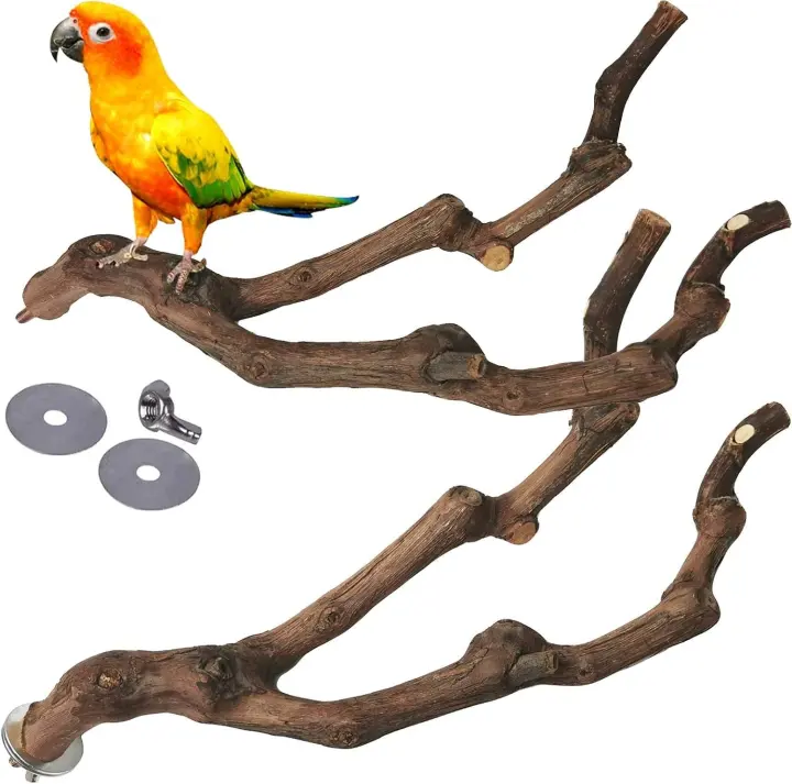 Grapevine Bird Perches — Natural Parrot & Budgie Climbing Branches