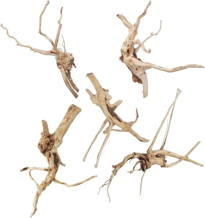 Natural Aquarium & Terrarium Driftwood Branches — 5-Pack (7–8")