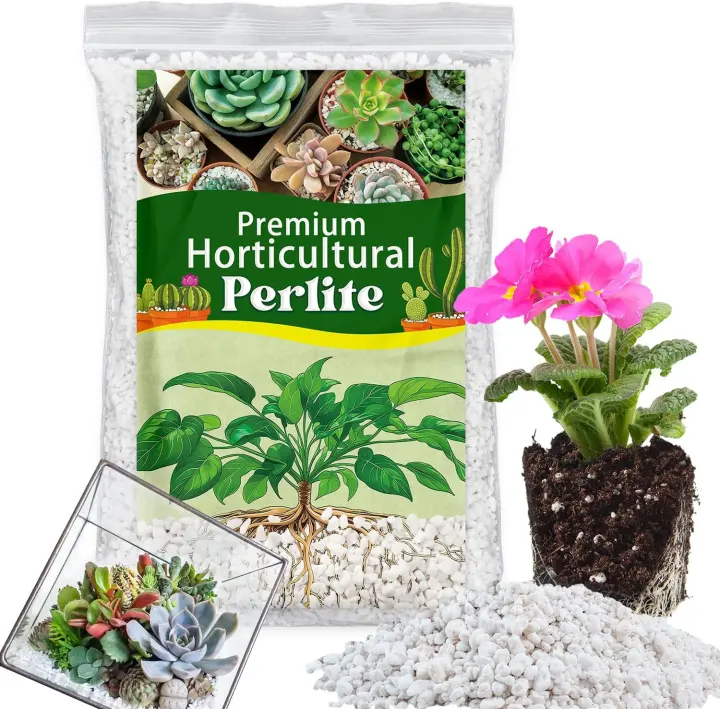 Organic Horticultural Perlite (1 QT) — Natural Soil Aerator