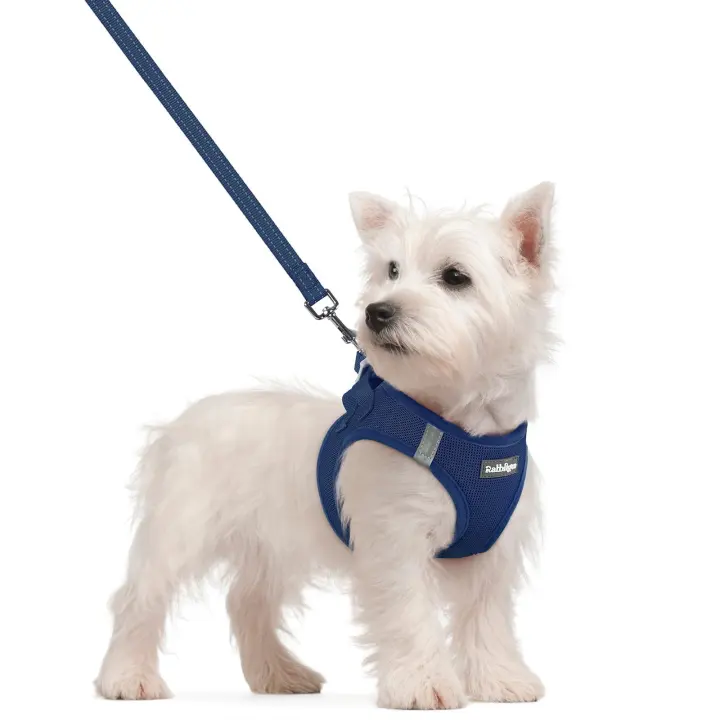 Step-In Small Dog Harness & Leash — Breathable Air Mesh Vest