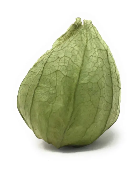 Tomatillos (1 lb) — Fresh Mexican Green Fruit