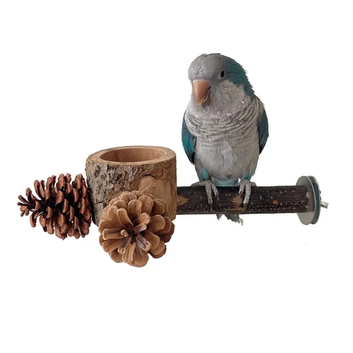 Wooden Bird Perch with Pinecone Chews and Feeding Bowl for Cage Birds