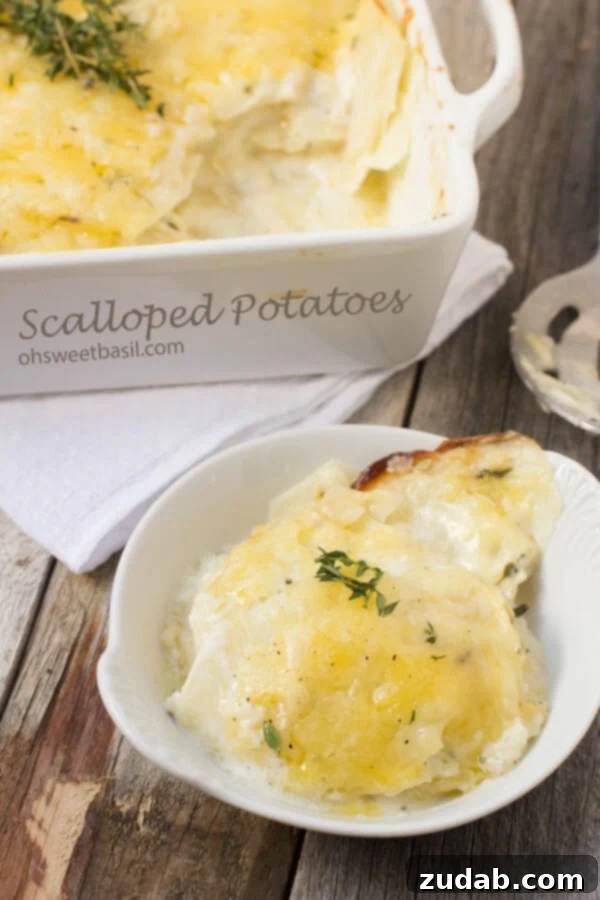 Homemade Scalloped Potatoes: A Family Favorite Recipe Golden brown Scalloped Potatoes, a perfect comforting side dish.