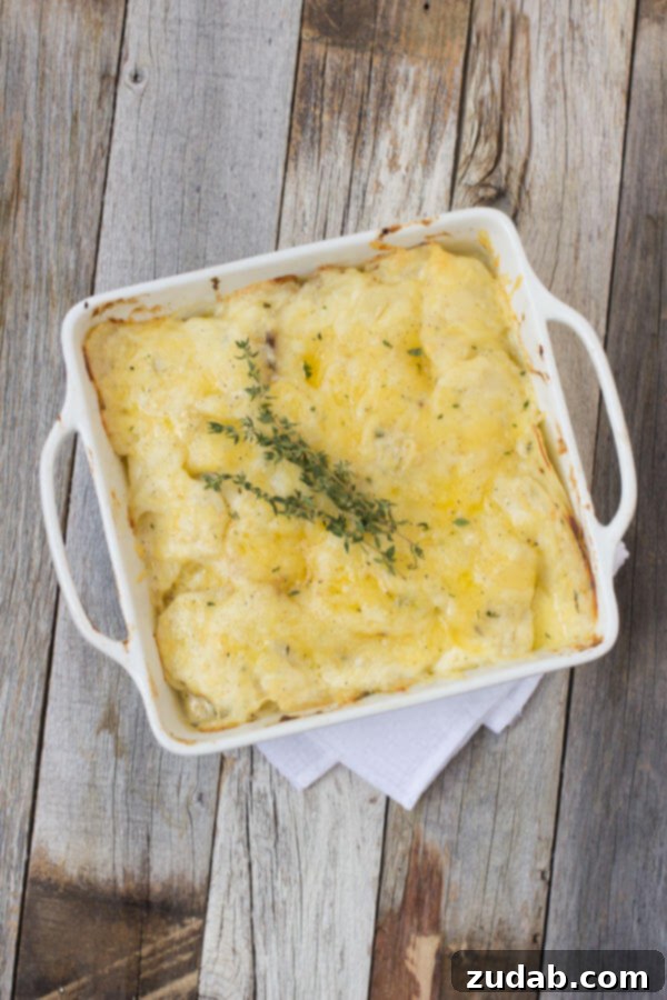 Perfect Scalloped Potatoes: A Tried and True Recipe Creamy, cheesy Scalloped Potatoes ready to be served.