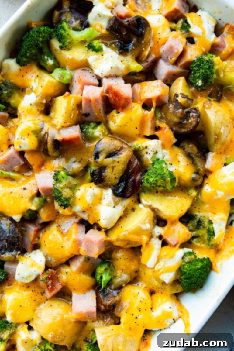 Classic Cheesy Ham, Potato & Broccoli Bake 2 A golden-brown baked cheesy ham and potato broccoli casserole, ready to serve