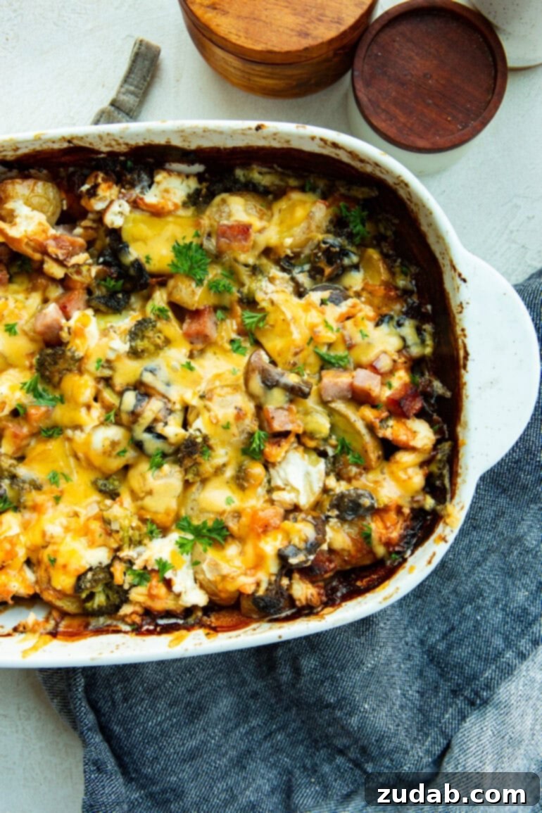 Classic Cheesy Ham, Potato & Broccoli Bake 11 A close-up shot of a baked broccoli potato ham casserole, topped with perfectly melted and golden-brown cheese, in a rustic ceramic dish