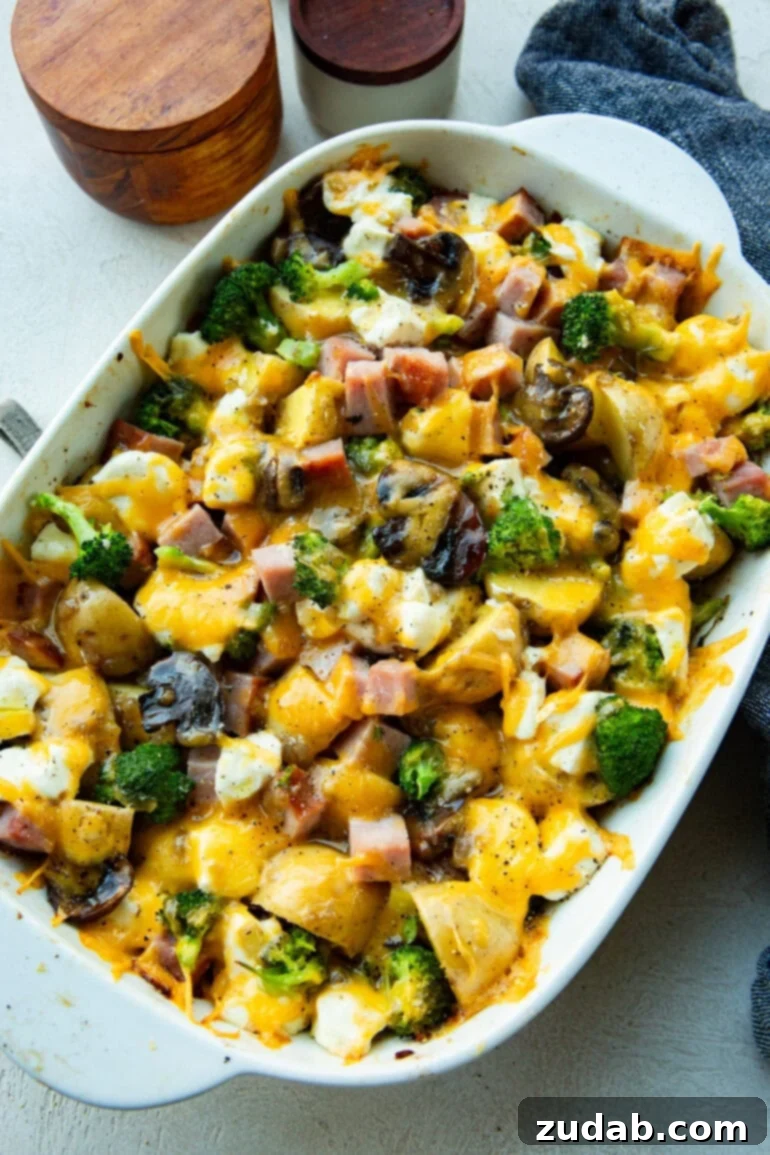 Classic Cheesy Ham, Potato & Broccoli Bake 12 A pristine 9x13 white baking dish showcasing a fully baked cheesy ham potato and broccoli casserole, with bubbling melted cheese on top