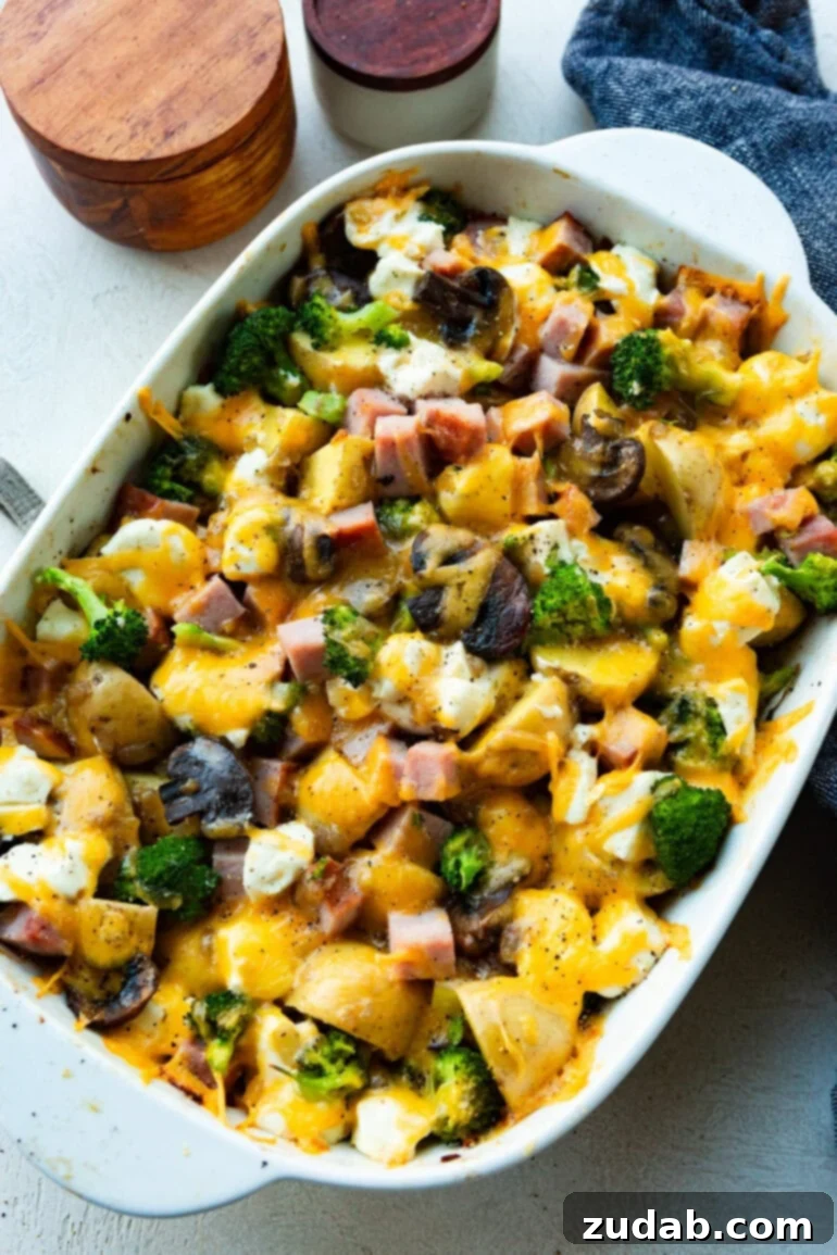 Classic Cheesy Ham, Potato & Broccoli Bake 3 A large white baking dish filled with layers of hearty broccoli potato ham casserole, brimming with melted cheese