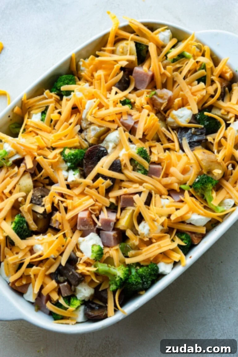 Classic Cheesy Ham, Potato & Broccoli Bake 9 A photo showcasing the distinct layers of a delicious broccoli cheddar ham and potato casserole before baking, with cream cheese visible