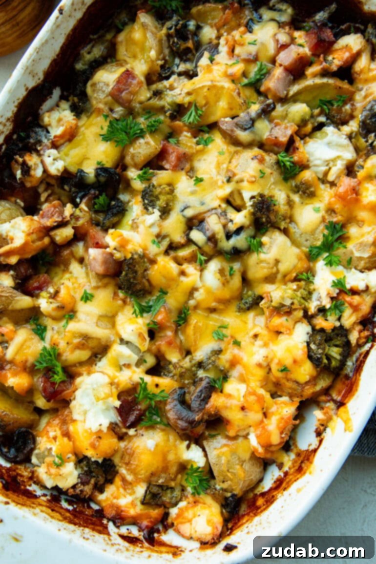 Classic Cheesy Ham, Potato & Broccoli Bake 10 A freshly baked casserole dish filled with creamy, cheesy ham and potato broccoli casserole, hot and ready to eat