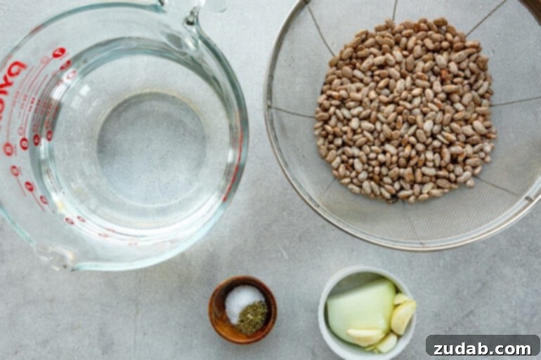 Classic Charro Beans Recipe 4 A collection of ingredients laid out in separate small bowls, including dried pinto beans, half a yellow onion, garlic cloves, bay leaves, kosher salt, dried Mexican oregano, and a container of water.