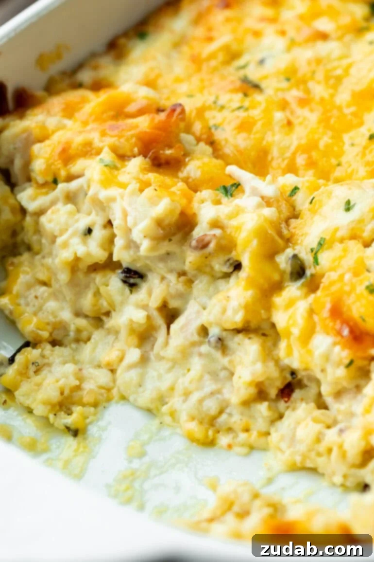 Creamy Dream Chicken & Rice Bake 2 A close-up photo of a creamy chicken and rice casserole, topped with a golden-brown layer of melted cheese, garnished with fresh parsley.