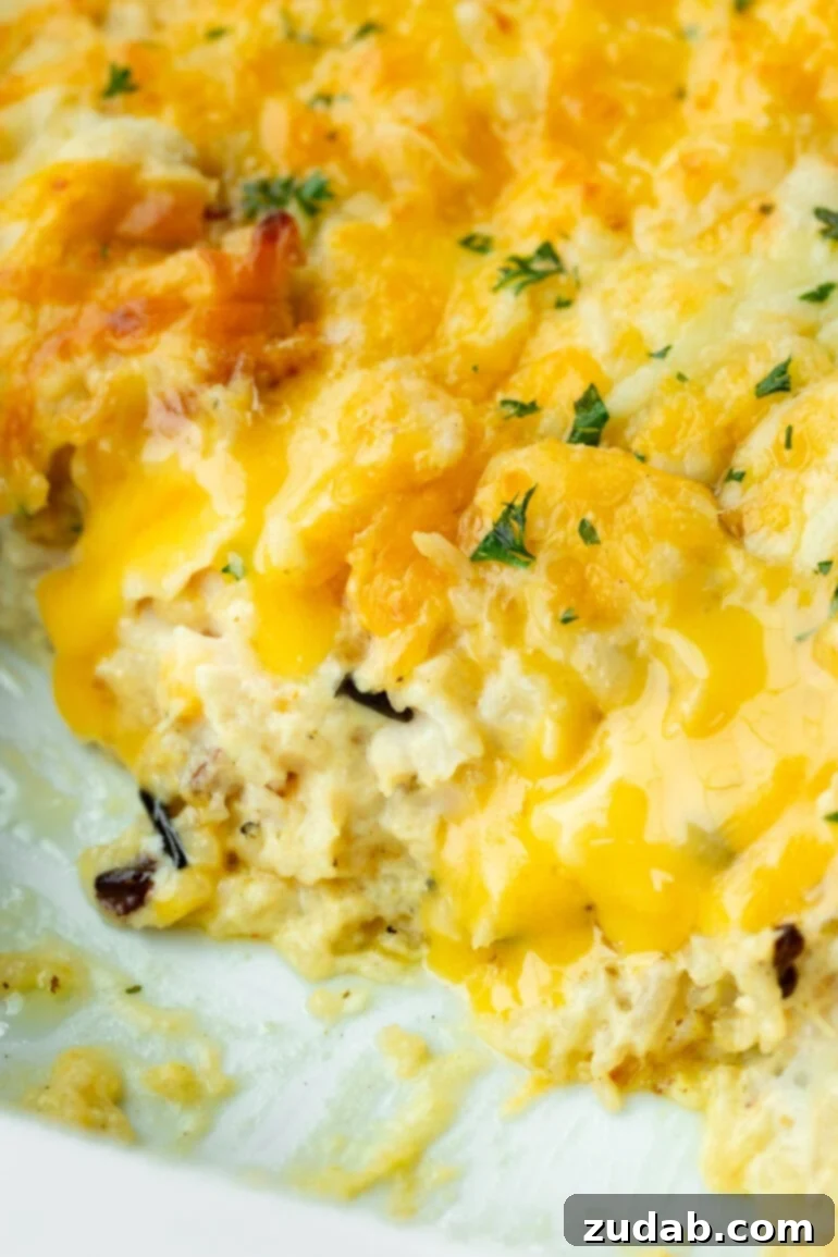 Creamy Dream Chicken & Rice Bake 6 A close-up shot of a creamy chicken and rice casserole in a white baking dish, featuring a golden-brown melted Colby Jack cheese topping.
