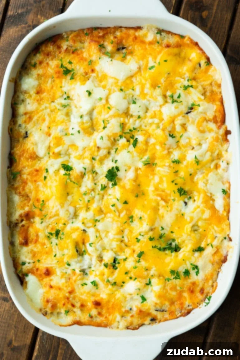 Creamy Dream Chicken & Rice Bake 7 A white baking dish filled with a golden-brown chicken and rice casserole, topped with beautifully melted cheese, fresh out of the oven.