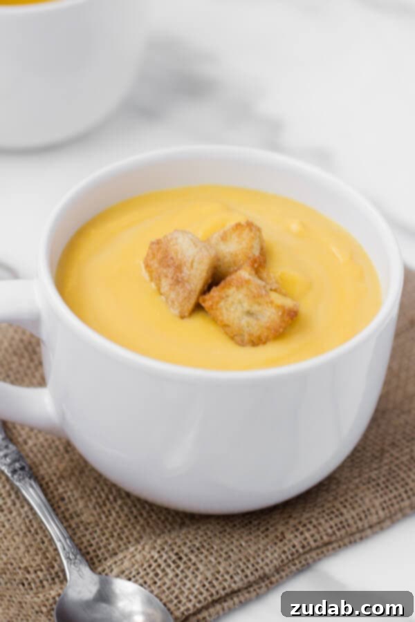 Creamy Butternut Squash Soup with Cinnamon Sugar Croutons