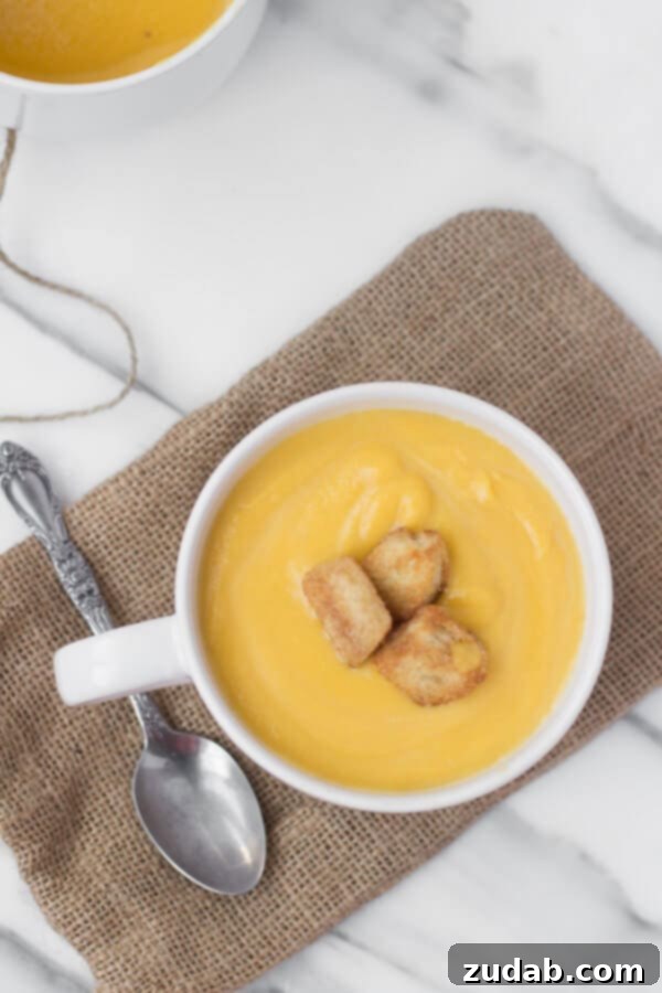 Butternut Squash Soup with Crunchy Cinnamon Sugar Croutons