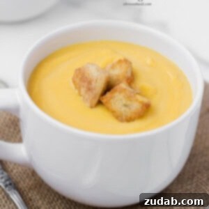 Butternut Squash Soup with Crunchy Cinnamon Sugar Croutons