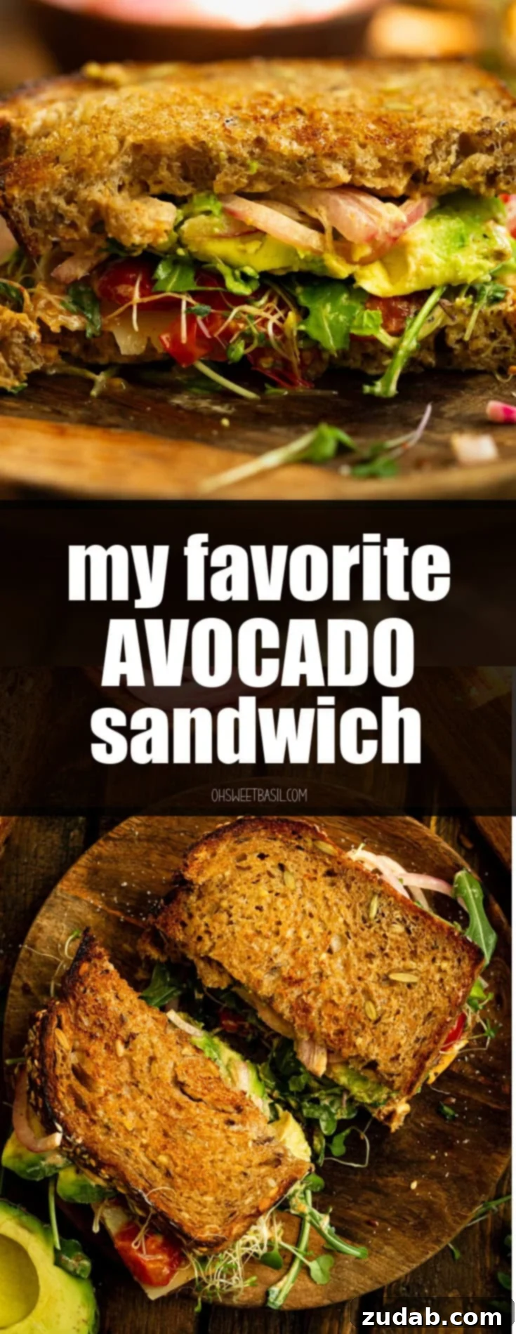 My Signature Avocado Sandwich 12 A beautifully presented avocado sandwich on toasted multigrain bread, featuring creamy avocado slices, bright red pickled onions, fresh bean sprouts, crisp arugula, and juicy charred tomatoes. It is visually appealing and ready to be served.