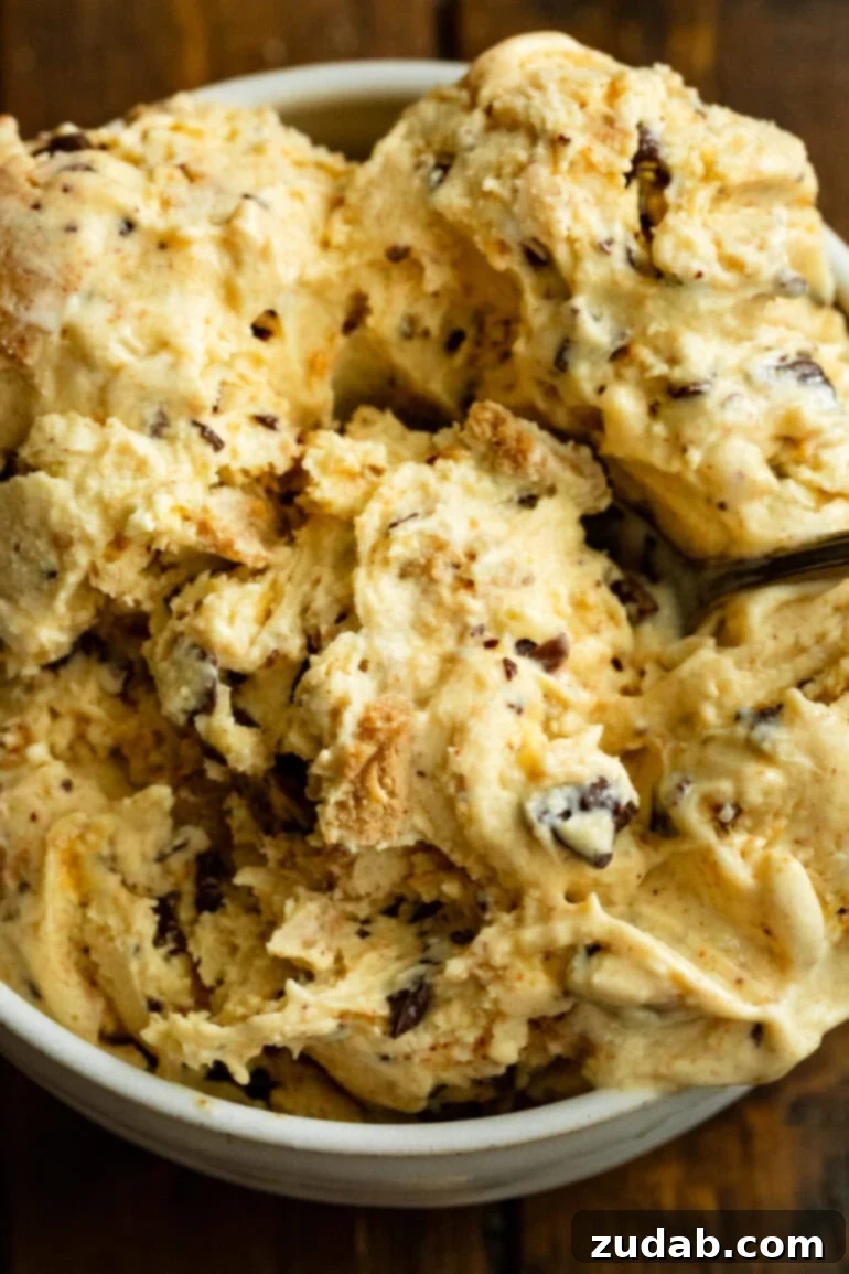 Crafting Homemade Graham Central Station Ice Cream 11 a photo of a bowl of copycat byu creamery graham cracker ice cream