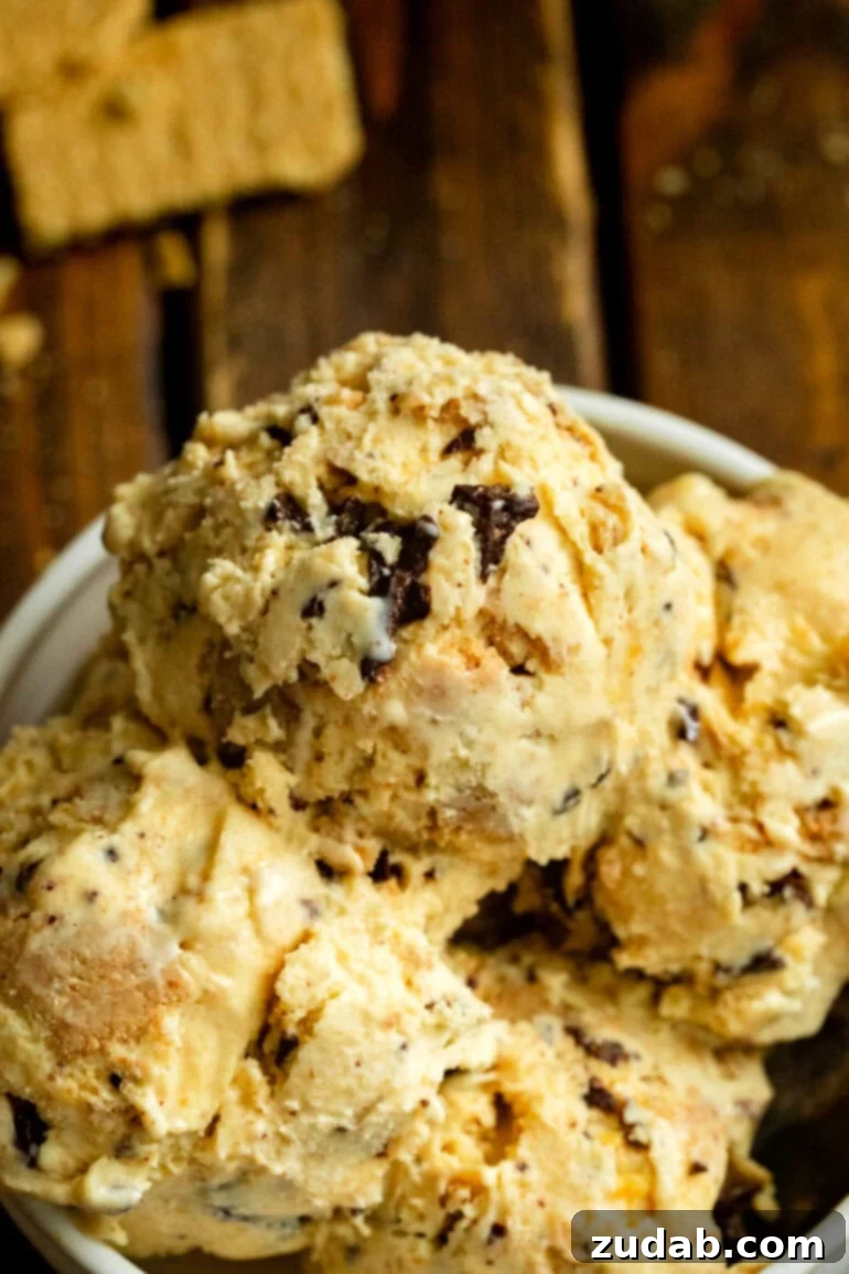 Crafting Homemade Graham Central Station Ice Cream 12 a photo of a bowl full of scoops of graham canyon ice cream