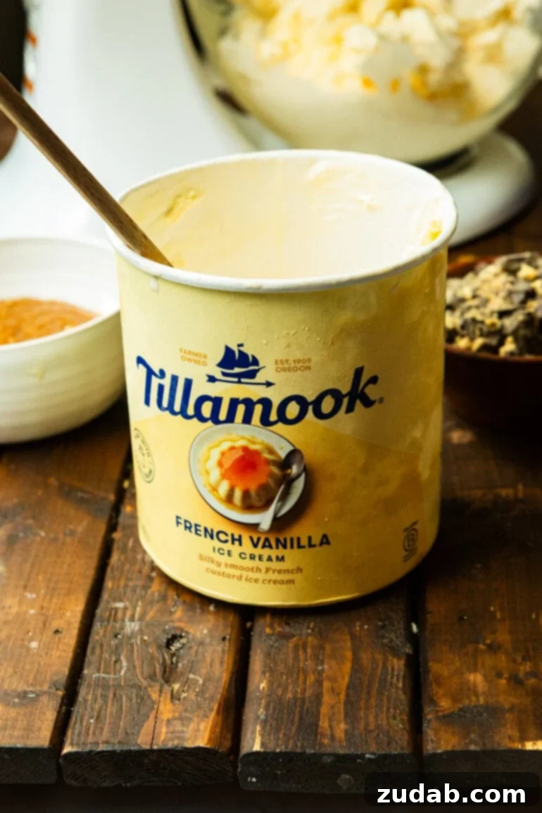 Crafting Homemade Graham Central Station Ice Cream 5 a photo of a tub of Tillamook french vanilla ice cream
