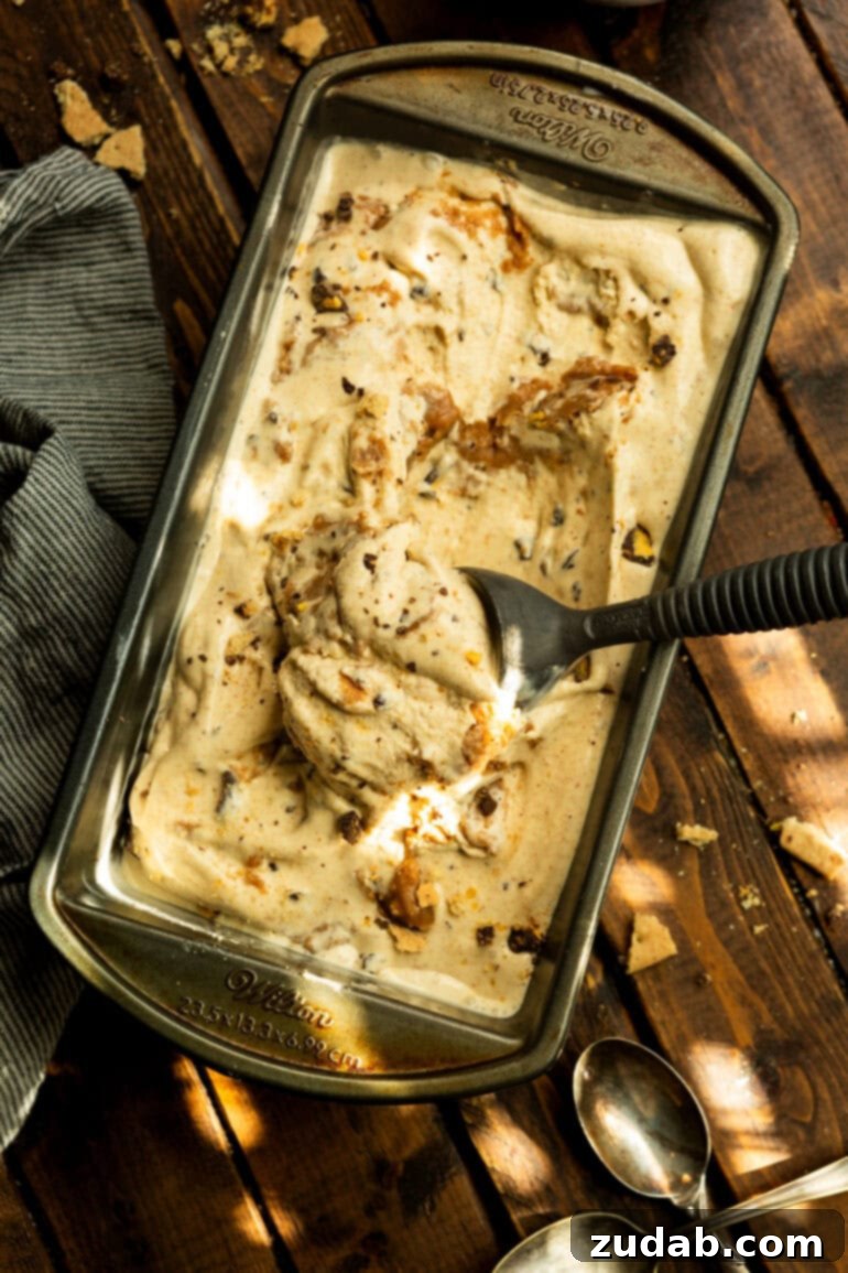 Crafting Homemade Graham Central Station Ice Cream 10 a photo of an ice cream scoop scooping out a serving of graham canyon ice cream from a container full of the ice cream