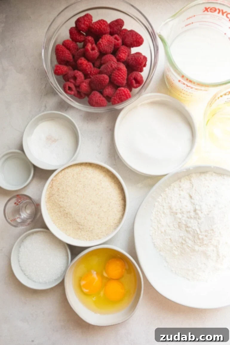 Baked Yogurt Cheesecake 3 A vibrant flat lay photo showcasing all the fresh ingredients for Cheesecake Baked Yogurt in separate bowls: Greek yogurt, eggs, cornstarch, honey, fresh raspberries, and graham crackers.