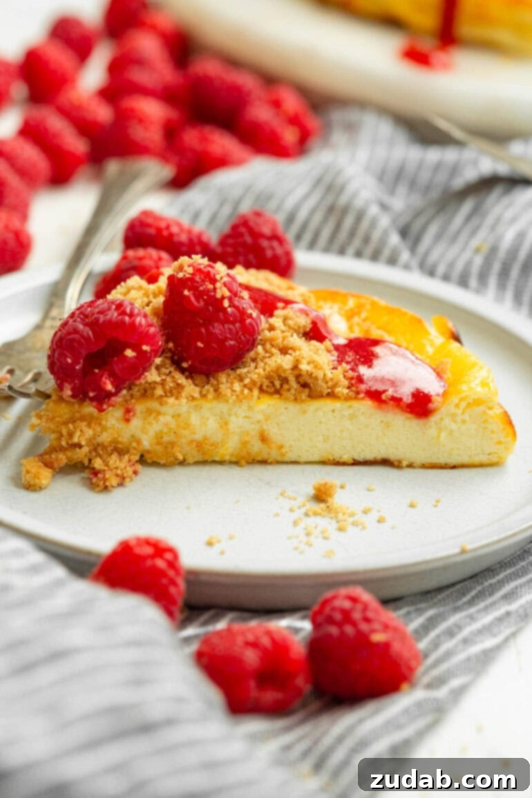 Baked Yogurt Cheesecake 9 A single slice of baked yogurt, beautifully topped with a sprinkle of graham cracker crumble and fresh raspberries, highlighting its creamy texture.