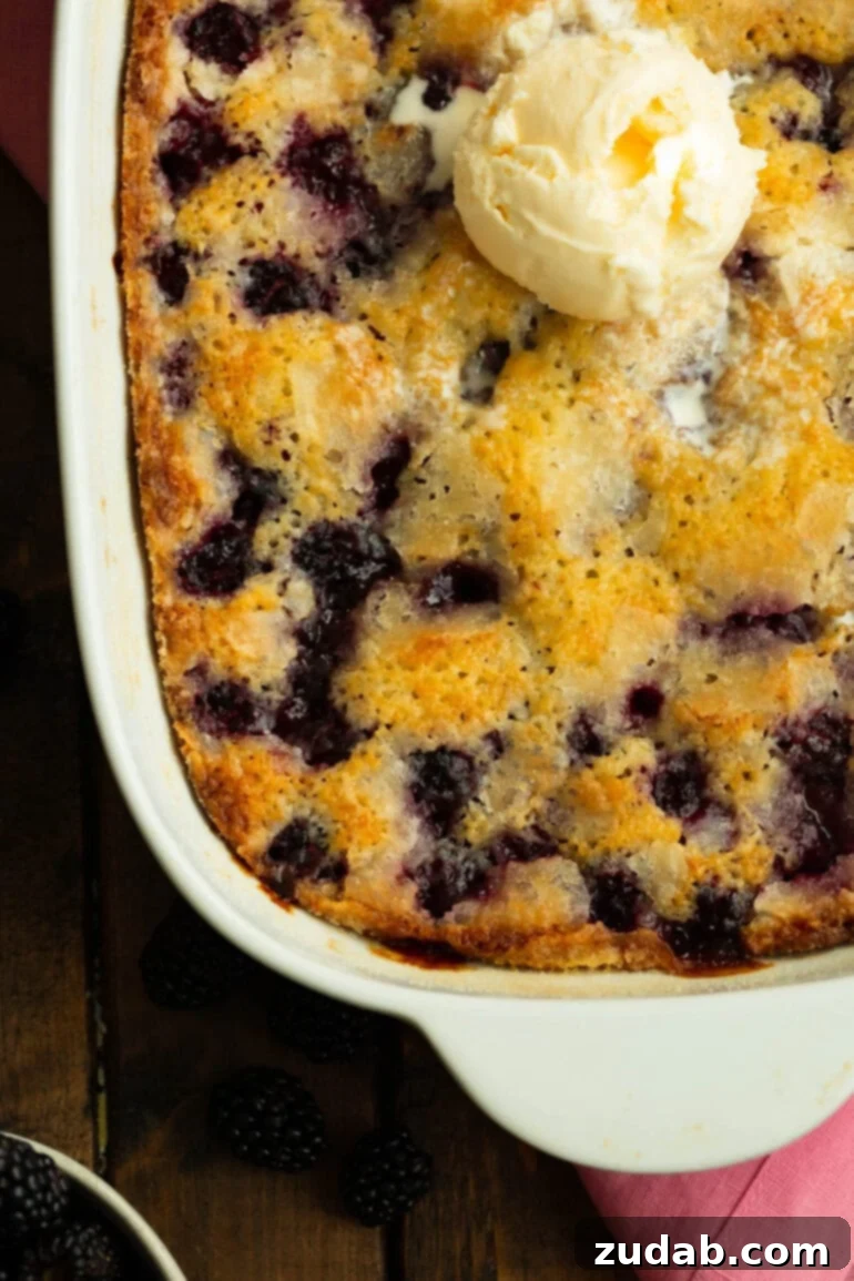 Timeless Blackberry Cobbler Bliss 9 An overhead view of a section of baked blackberry cobbler in a white baking dish, crowned with a scoop of vanilla ice cream, emphasizing its comforting appeal.