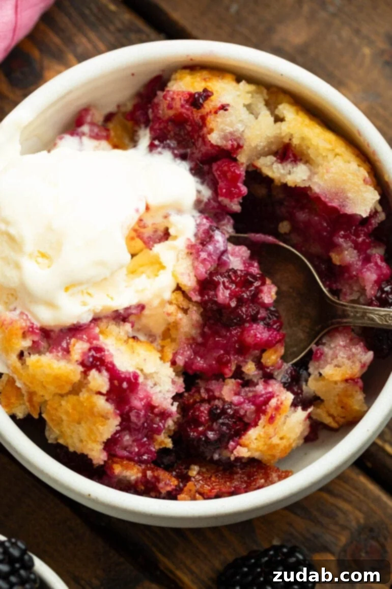 Timeless Blackberry Cobbler Bliss 10 A bowl filled with a generous serving of baked blackberry cobbler, elegantly topped with a scoop of vanilla ice cream, beckoning a sweet indulgence.