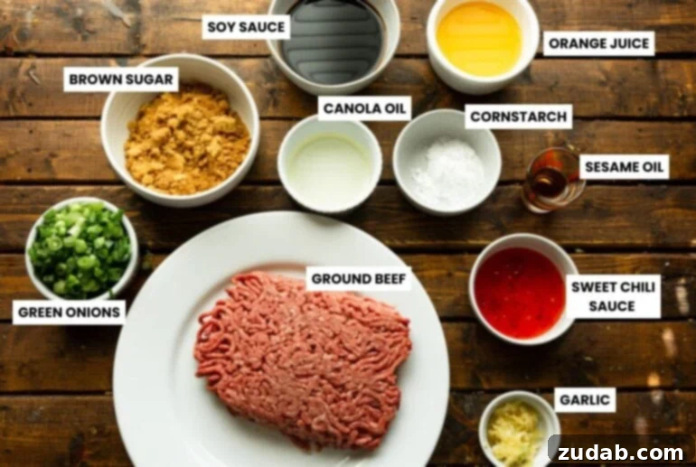Easy Korean Ground Beef Noodles 4 A beautifully arranged overhead shot of all individual ingredients for Korean Ground Beef Noodles, meticulously placed in small, inviting bowls on a rustic surface.