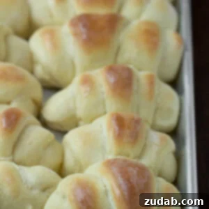 The ultimate recipe for soft, fluffy homemade rolls, a perfect addition to any meal.