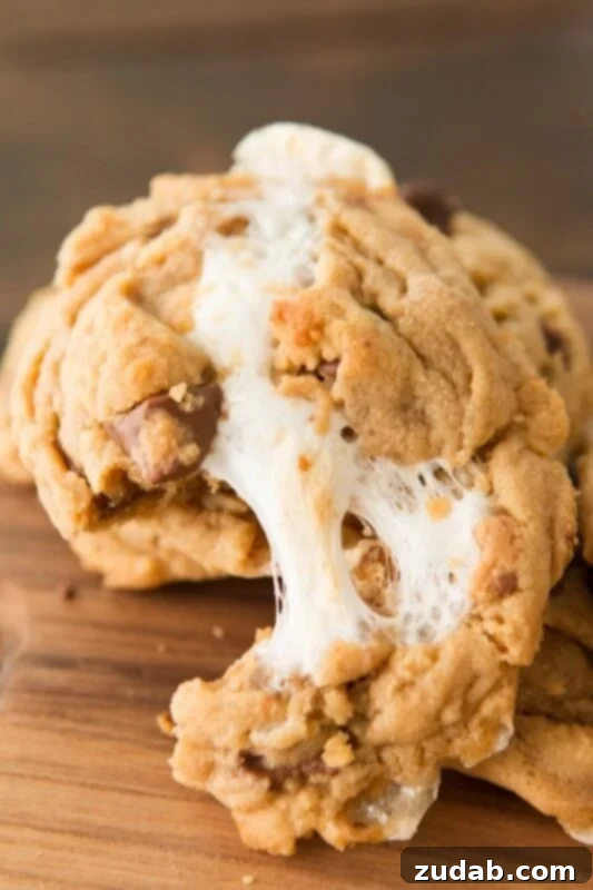 Reeses Peanut Butter Marshmallow Cookie Pie 6 Soft Reese's Marshmallow Peanut Butter Cookies from Oh Sweet Basil, featuring chocolate chips and candy pieces.