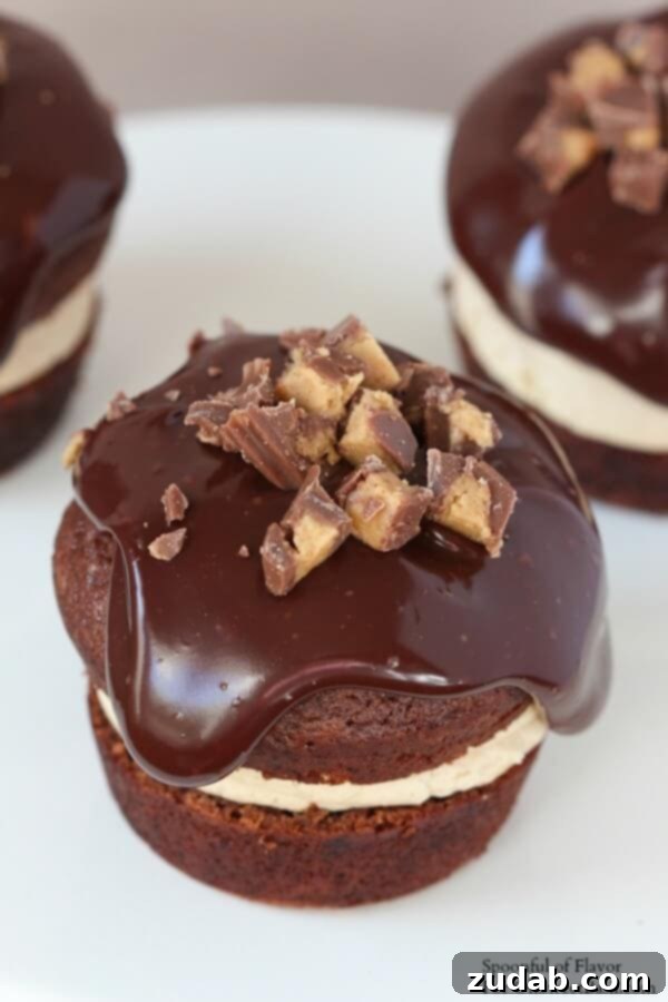 Creamy Peanut Butter Buttercream Frosting on Chocolate Cupcakes Delicious Chocolate Peanut Butter Cupcakes with generous peanut butter frosting