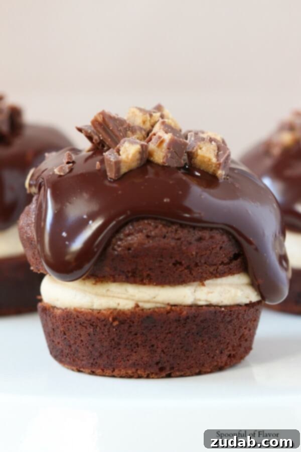 Garnished Chocolate Peanut Butter Cupcakes - Ready to Enjoy Assortment of Chocolate Peanut Butter Cupcakes, garnished with Reese's and ganache