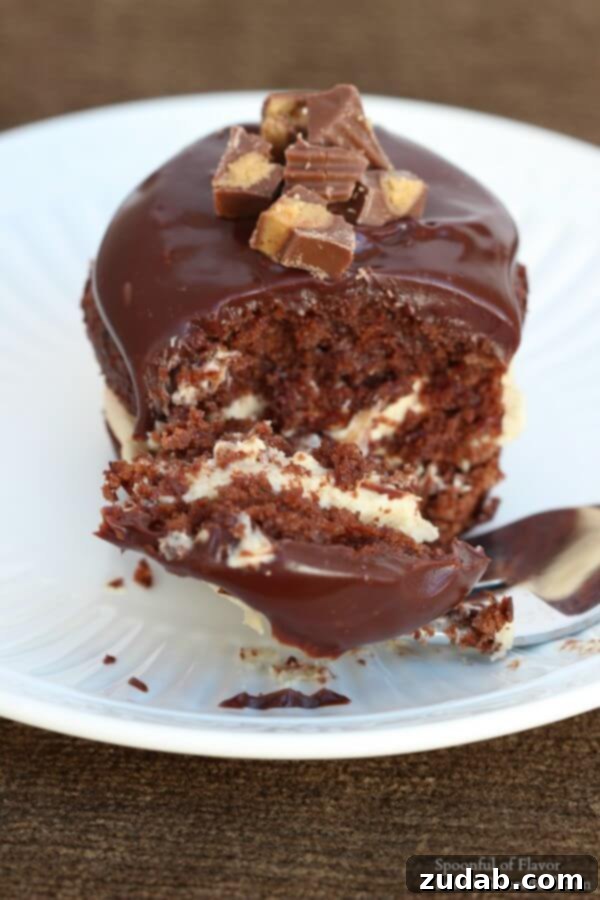 Layered Chocolate Peanut Butter Cupcakes: A Dessert Masterpiece Side view of a Chocolate Peanut Butter Cupcake, highlighting the distinct layers