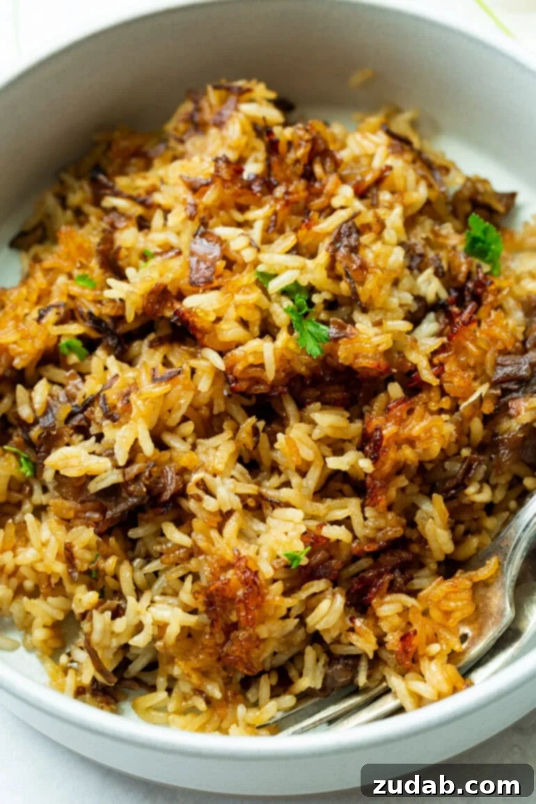 A close-up shot of Stick of Butter Rice with Beef Broth in a white bowl. The grains are fluffy and tender, with visible bits of caramelized onion from the soup mix. The rich brown color hints at the beef broth and buttery flavor, making it look incredibly inviting and delicious.