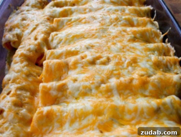 Honey Lime Chicken Enchiladas