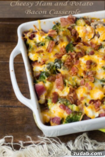 Cheesy Mexican Chicken and Rice Bake 5 Cheesy ham and potato bacon casserole, perfect for using up holiday leftovers. ohsweetbasil.com