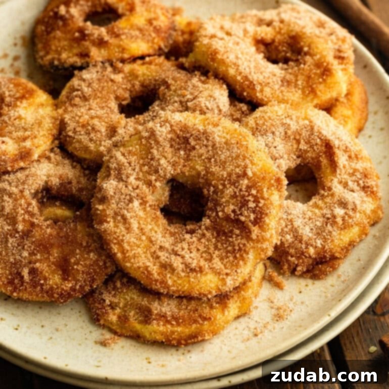 Pumpkin and Apple Perfection: Your Fall Dessert Obsession 17 Several air-fried apple rings coated in golden batter and cinnamon sugar, arranged enticingly on a white plate.