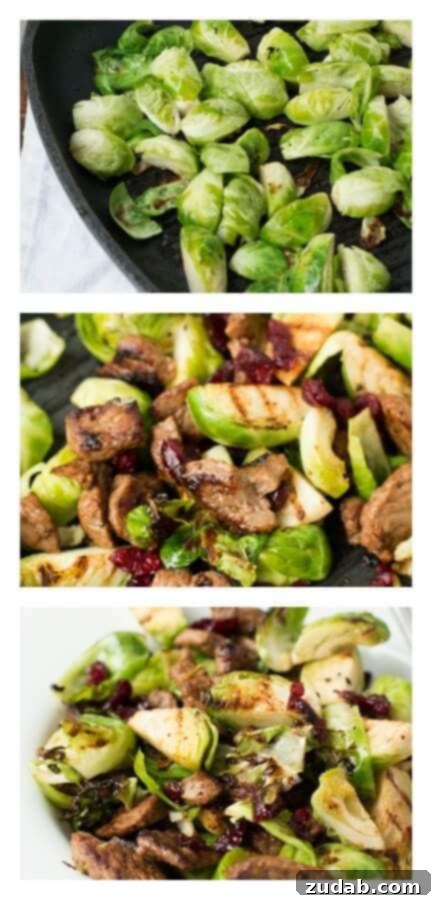 This simple steak and Brussels sprouts recipe from ohsweetbasil.com is a delightful, healthy, and easy-to-make dinner. Healthy and quick pan-seared steak and Brussels sprouts with a hint of sweetness from craisins. A gluten-free, grain-free, and low-carb meal that tastes incredible.