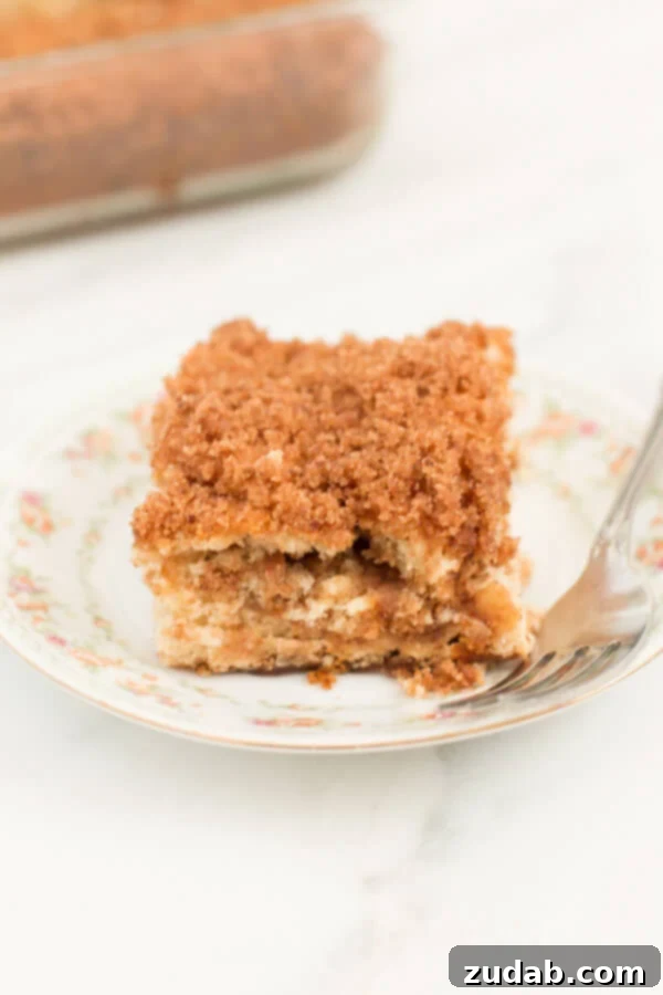Delicious 3-Ingredient Banana Coffee Cake Moist and tender banana coffee cake with streusel topping