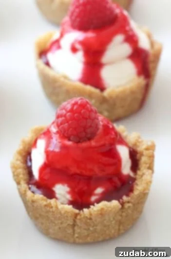 Delicious mini cheesecakes with a luscious raspberry sauce, perfect for individual servings.