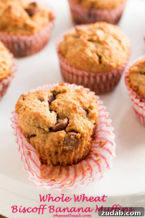 Wholesome Biscoff Banana Chocolate Chip Muffins Recipe Delicious Whole Wheat Biscoff Banana Muffins with Chocolate Chips